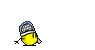 85